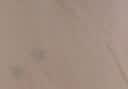 洪恩识字  app会员终身包 拼音数学英语启蒙 早教益智玩具儿童礼物 【拼音启蒙】终身包（不含全科题库） 实拍图