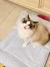 乐优派夏季猫窝狗窝四季通用垫子空调窝宠物窝冰丝睡垫可拆洗冰豆豆窝-L 实拍图