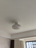 雷士（NVC）LED照明枕边风风扇灯吊扇灯北欧卧室全光谱1级能效智控36瓦餐厅灯 实拍图
