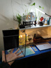 金晶超白玻璃桌面鱼缸小型家用办公室生态懒人全套造景小缸水草缸 裸缸+防滑垫 15*15*20 实拍图
