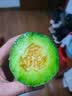 粤迎山东羊角蜜甜瓜【多地次日达】头茬香瓜新鲜应季水果脆甜多汁整箱 4斤尝鲜装【当季尝鲜-较划算】净3.0斤 SS+级精选果【单果250g+】蕞甜 实拍图