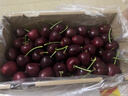 京鲜生 大连美早樱桃 车厘子 3J级巨无霸 2斤礼盒装 单果12g+ 生鲜水果 实拍图