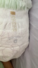 babycare金山茶花拉拉裤XXXXL26片(＞19kg)婴儿尿不湿超薄透气轻柔花苞裤 实拍图