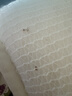 无印良品100%新疆棉花被子棉絮盖被垫被褥子秋冬季加厚棉胎被芯6斤150x200 实拍图