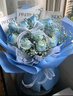 百花馆鲜花同城配送小时达玫瑰花满天星洋桔梗真花束生日礼物女友成人礼 【星辰之恋】11朵碎冰蓝|dy679 实拍图