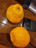 京鲜生【公益好物】川爷爷的春见耙耙柑 净重4.5-5斤 单果140g+ 实拍图