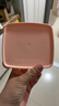 特百惠（Tupperware）冷藏400ml*2保鲜盒蔬菜水果收纳盒食品级冰箱储物盒密封不串味 实拍图