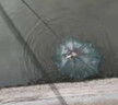 渔颠鱼网地网鱼虾网笼鱼网笼渔网笼虾网虾笼捕鱼网笼抓鱼 [夜光加粗加厚8孔]赠品+5包饵料 实拍图