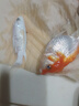 亚甲基蓝鱼药水族箱鱼缸消毒杀菌观赏鱼锦鲤白点烂身烂尾专用鱼药 200ml/瓶【5瓶】送量杯 实拍图