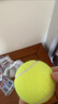 ENPEX乐士三只装网球 业余娱乐练习款 实拍图
