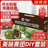 蓝格猫青团制作材料套装青团馅料预拌粉全套800克 中秋团建亲子DIY 实拍图