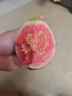 京鲜生 广东软糯红白对半双拼芭乐 净重2.5斤单果130g+ 番石榴源头直发 实拍图