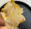 【活蟹】湖鲜阳澄 大闸蟹 去绳足重 2.7-3.0两 12只 鲜活六月黄现货超大螃蟹海鲜礼盒装 实拍图