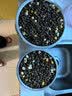 豆柴（docile）冻干三拼狗粮泰迪比熊柯基金毛小中大型全价无谷通用成犬粮 【无惧挑食】冻干三拼成犬粮1.5kg 实拍图