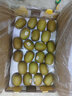 佳沛（zespri）新西兰新果  阳光金奇异果巨大果22粒原箱 单果重146-175g 猕猴桃 实拍图