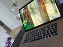 苹果（Apple） MacBook Pro/Air 二手苹果笔记本电脑 商务 办公 游戏 设计 剪辑 99新18款932灰962银16G/256GBar 实拍图