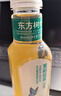 农夫山泉东方树叶绿茶500ml*15瓶无糖茶饮料0糖0脂0卡整箱装饮品 实拍图