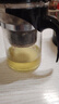 飘逸壶泡茶壶耐热高温玻璃沏茶过滤内胆冲茶器家用茶具套装 飘逸杯500mL1个 实拍图