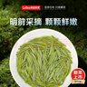乐品乐茶茶叶特级毛尖绿茶明前春茶嫩芽2026新茶自己喝礼盒装送礼袋250g 实拍图