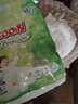 大王（GOO.N）自在之息系列 拉拉裤L3片(9-14kg)瞬吸芯体 轻薄干爽 试用装 实拍图