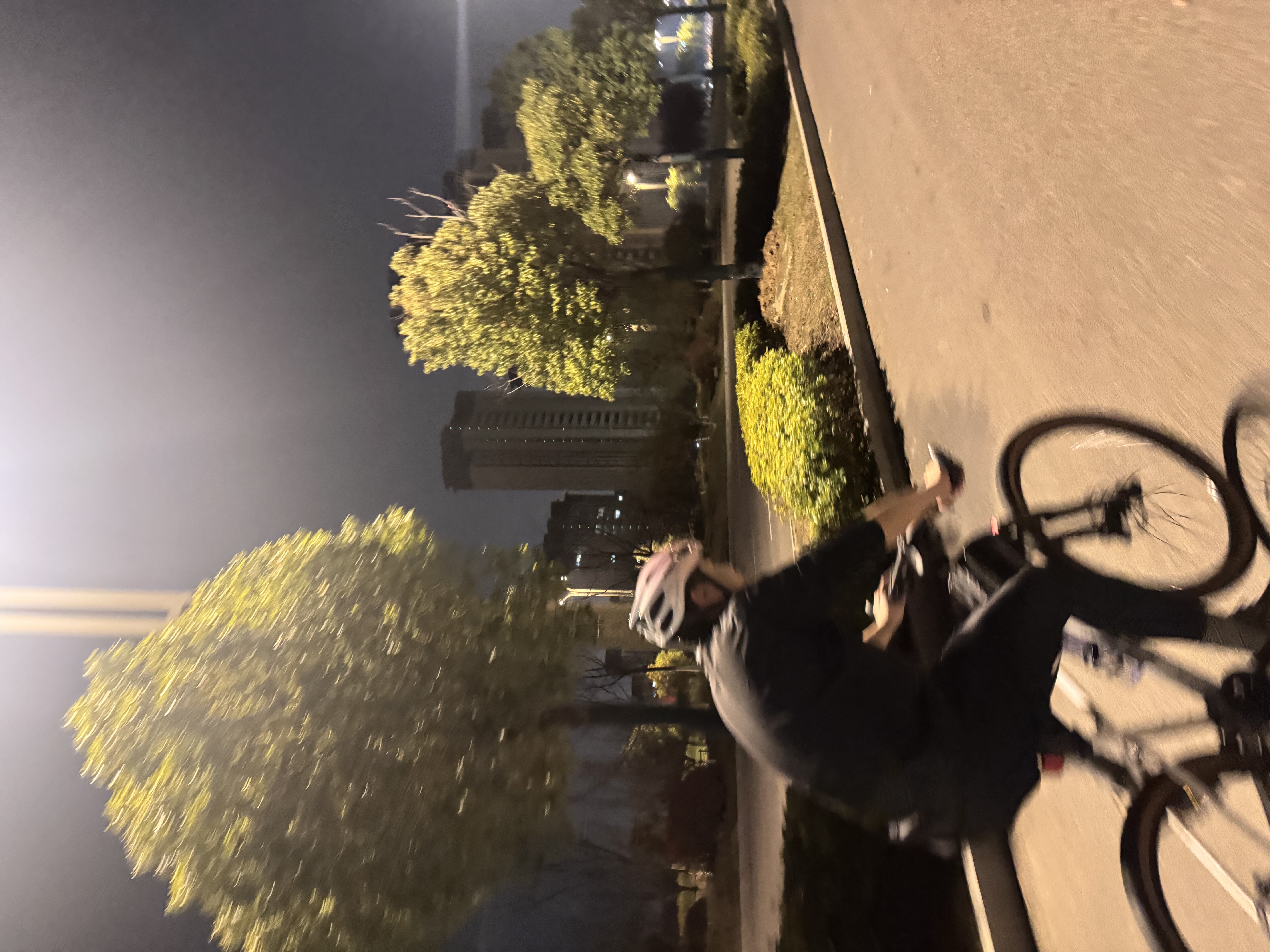 迪卡侬骑行裤山地公路自行车骑行服RC100男骑行裤短裤骑行裤XL 4288163 实拍图