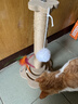 HELLOJOY猫抓柱剑麻猫抓板猫玩具耐抓耐磨不掉屑猫爬架立式自嗨解闷用品 实拍图