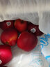 京鲜生 新西兰皇后红玫瑰苹果9粒礼盒装 单果180-230g 生鲜水果礼盒 实拍图