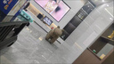 爱派森小马椅子网红动物座椅家用客厅落地摆件乔迁礼物卡通创意儿童沙发 【全新升级高品质】迪奥粉超大号 实拍图