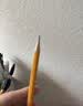 施德楼（STAEDTLER）HB铅笔 经典六角木杆小学生专用考试涂卡礼物开学必备用品12支/盒 马卡龙粉133-HB-21 实拍图