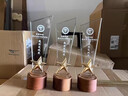 鑫匠久水晶奖杯定制金属树脂创意奖牌优秀员工运动篮球足球台球老师奖品年会奖杯礼品退伍退休纪念品摆台 发光奖杯系列二（百款可选） 咨询客服-免费设计 实拍图