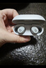 beats Solo Buds 真无线耳机【礼物】 蓝牙耳机 兼容苹果安卓系统  哑光白 实拍图