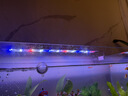 LED全光鱼缸灯同款水族箱鱼缸照明灯架水草灯增艳发色灯神灯节能 12瓦三档变光48cm（适合50-60cm鱼缸） 六排灯珠 实拍图