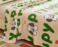 红豆牛奶绒毛毯加厚午睡毯空调毯沙发毯多功能盖毯床单200*230cm绿色 实拍图