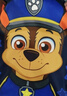 汪汪队立大功（PAW PATROL）幼儿园书包可爱男童小班大班幼儿园防泼水超轻儿童透气背包双肩包 实拍图