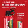 火焰战士 灭火器车载家车用干粉灭火器便携新能源消防器材1A21B增强型610G 实拍图