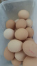 京鲜生鲜鸡蛋20枚/盒 健康轻食 营养健康 2斤/盒 源头直发  实拍图