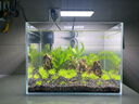沃韦朗（VOONLINE）鱼缸灯水草灯LED全光谱草缸水族夹灯 【水草版】沃韦朗夹灯16W 实拍图