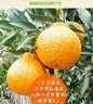 床头软包靠垫沙发宿舍柔软大靠背床上看书靠枕头护腰靠枕大抱枕垫 蓝龙 70cm*40cm 含枕芯 实拍图