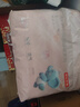 京东京造婴儿拉拉裤尿不湿纸尿裤Air Pro裸感L34片(9-14kg)不勒肚超薄透气 实拍图