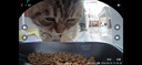 小佩AI宠物智能自动双子星喂食器可视版2代 多猫识别(支持鸿蒙智联) 实拍图