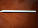 Apple/苹果 Pencil Pro 磁吸触控笔手写笔苹果笔电容笔书写绘画ipad笔 适用于iPad Pro/Air/mini机型 实拍图