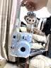 富士（FUJIFILM）【限时免息】instax mini12一次成像相机 立拍立得一次成像相机拍立得相机 Mini12 薄荷绿（下方可选套餐） 标配（无相纸） 实拍图