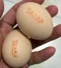 牧族 可生食新鲜鸡蛋 NSF认证 无抗生素 无菌蛋单枚50g 可生食30枚 实拍图