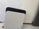 布鲁雅尔（Blueair）空气净化器除甲醛细菌流感病毒新房急入住家用卧室除烟味异味吸猫毛净化机CP7i 实拍图