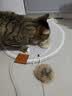 HELLOJOY猫玩具天然兔毛球猫薄荷丰容玩具小猫逗猫棒猫咪玩具自嗨解闷神器 实拍图