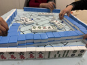 隆玉精装家用麻将牌手搓大号46mm天蓝色 麻将全国通用 附赠桌布 实拍图