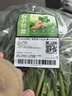 【24小时菜】菠菜苗250g(长度≤20cm) 实拍图