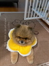 华元宠具（hoopet）猫咪伊丽莎白圈幼猫项圈宠物狗狗圈颈圈脖圈头套犬耻辱圈防舔头罩 实拍图