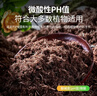 品氏基质泥炭土有机营养土种菜花土椰糠壳珍珠岩羊粪肥料火山蛭石赤玉土 原装进口花卉型80升10-30mm 实拍图