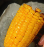 北纬47度水果玉米4斤(约220g*10根) 开袋即食玉米棒真空包装直抽 低脂低GI 实拍图